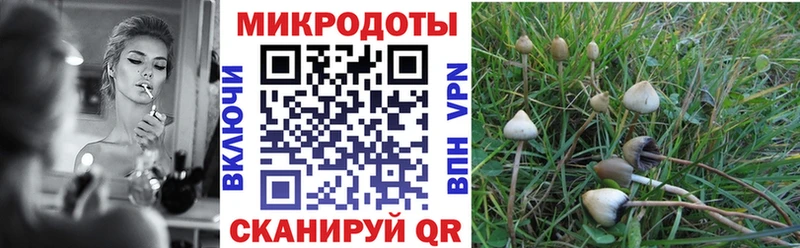 Псилоцибиновые грибы Cubensis  Новозыбков 